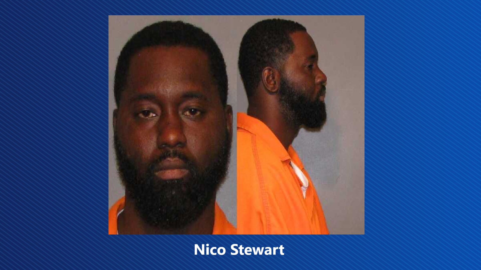 Nico Stewart